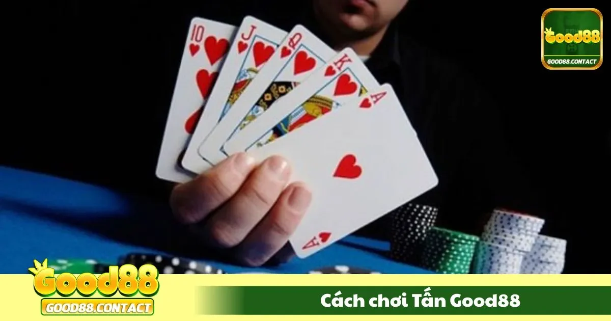 Hướng dẫn chơi bài tấn cho người mới